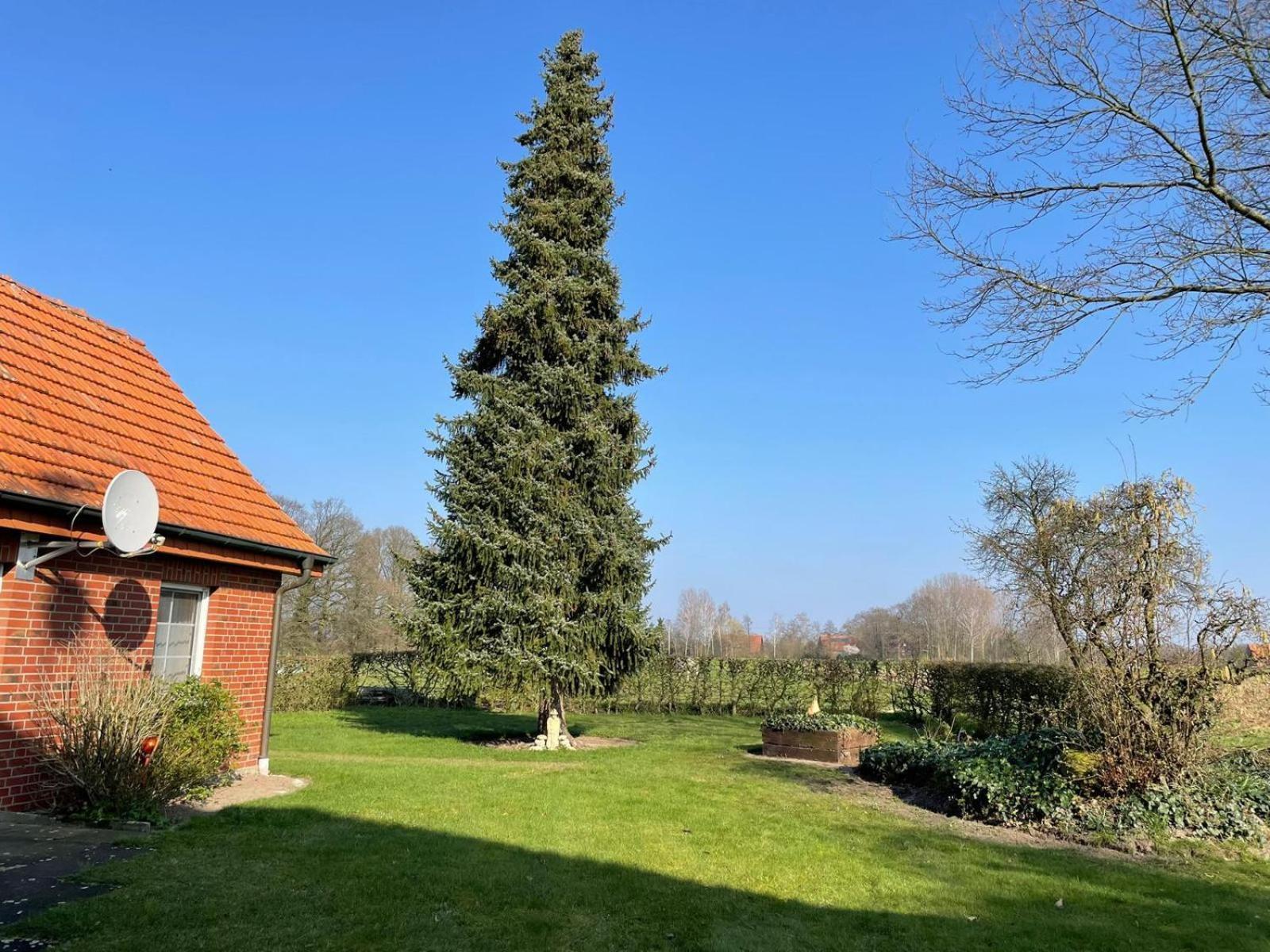 Ferienwohnung Kiebitzheide Beelen ภายนอก รูปภาพ